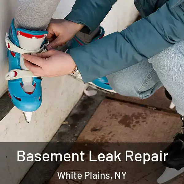  Basement Leak Repair White Plains, NY