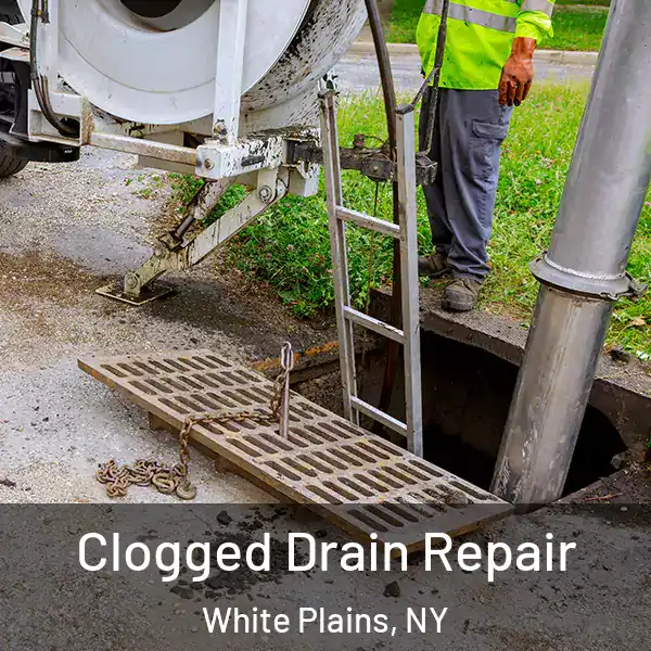  Clogged Drain Repair White Plains, NY