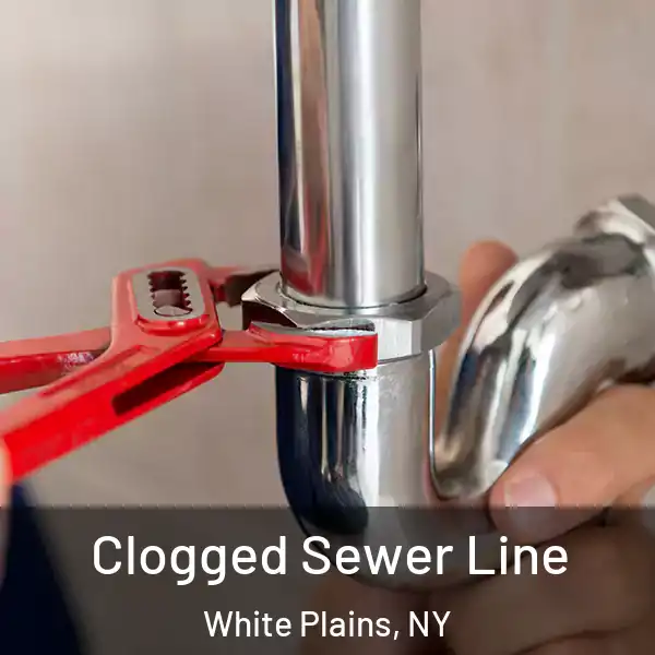  Clogged Sewer Line White Plains, NY