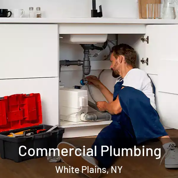  Commercial Plumbing White Plains, NY