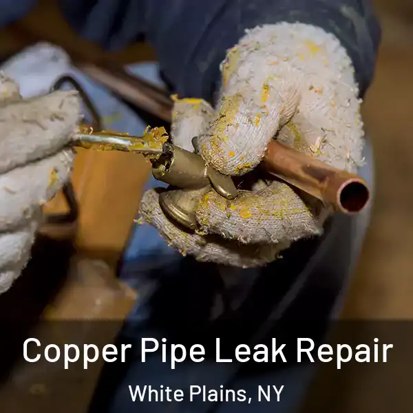  Copper Pipe Leak Repair White Plains, NY