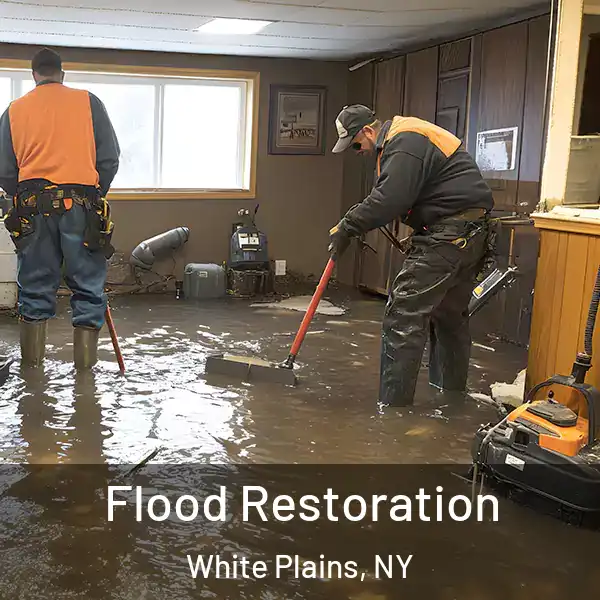  Flood Restoration White Plains, NY