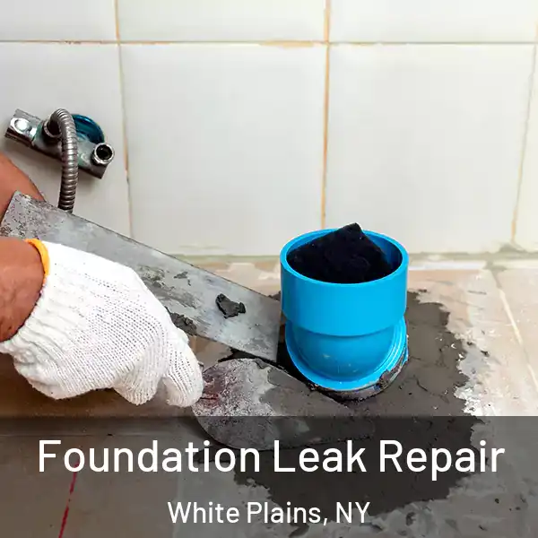  Foundation Leak Repair White Plains, NY