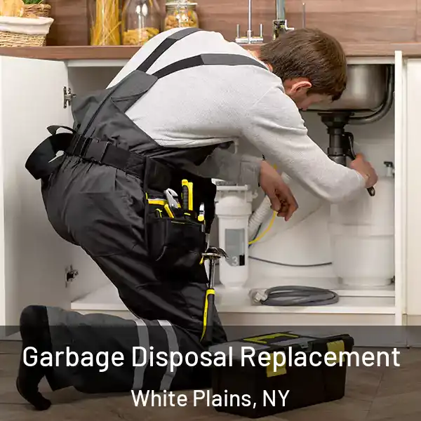  Garbage Disposal Replacement White Plains, NY
