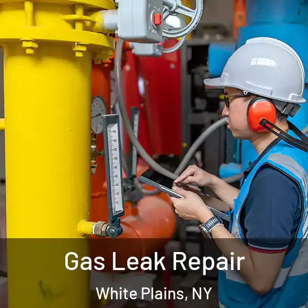  Gas Leak Repair White Plains, NY
