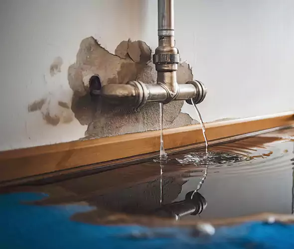 Professional Water Damage Restoration Experts in White Plains, NY — Fast, Reliable & Certified