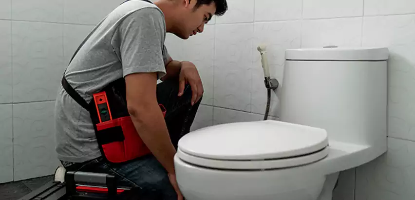 Toilet Repair in White Plains