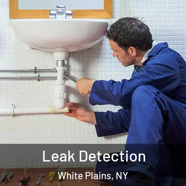  Leak Detection White Plains, NY