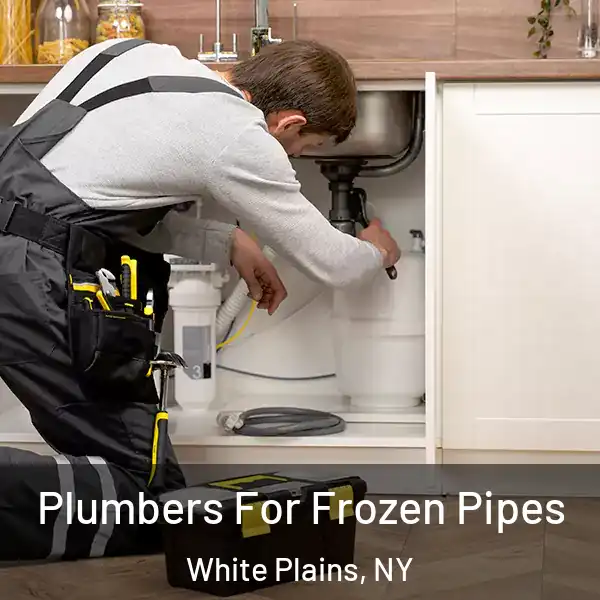 Plumbers For Frozen Pipes White Plains, NY
