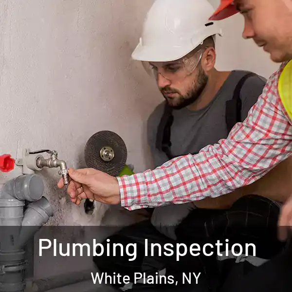  Plumbing Inspection White Plains, NY