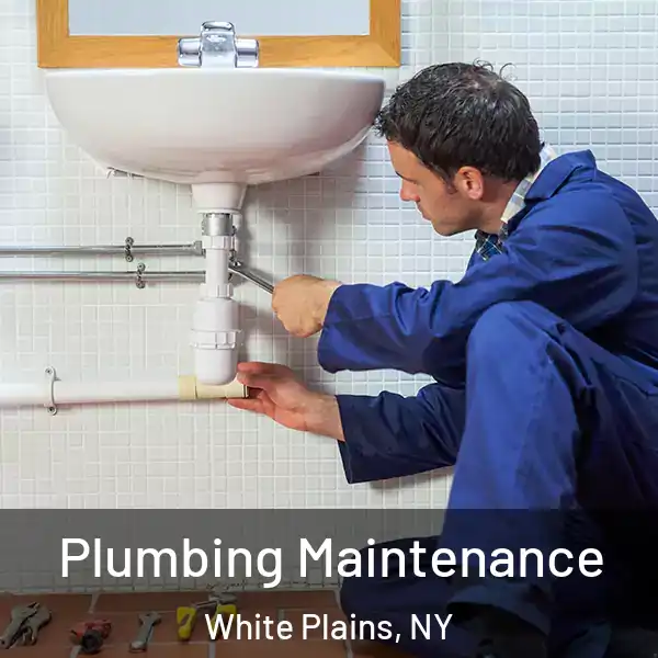  Plumbing Maintenance White Plains, NY