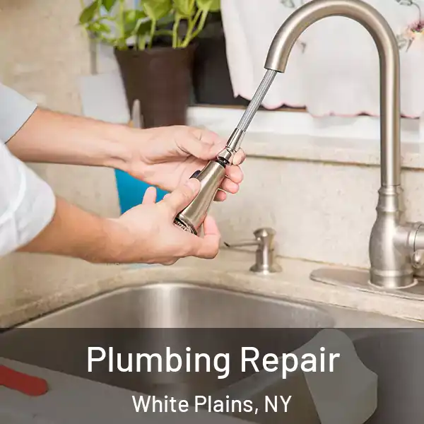  Plumbing Repair White Plains, NY