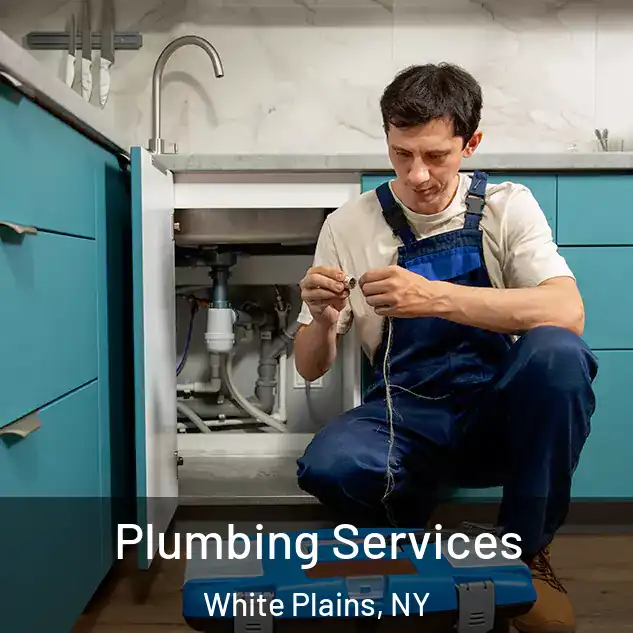  Plumbing Services White Plains, NY