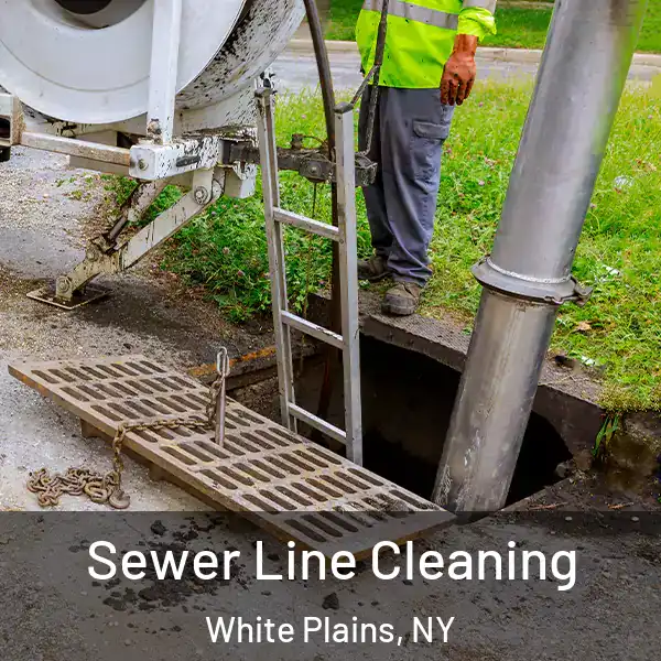  Sewer Line Cleaning White Plains, NY