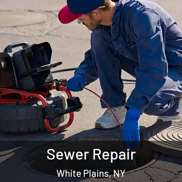  Sewer Repair White Plains, NY