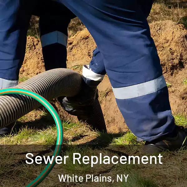  Sewer Replacement White Plains, NY
