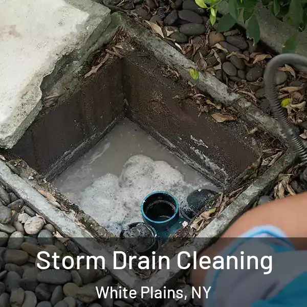 Storm Drain Cleaning White Plains, NY