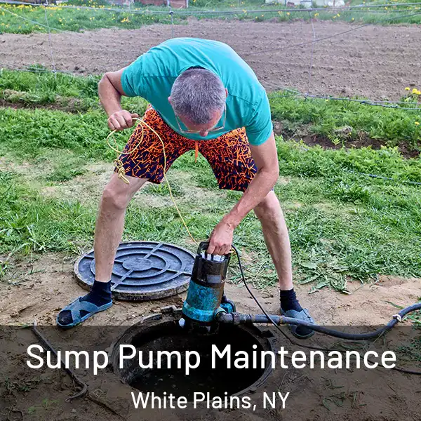  Sump Pump Maintenance White Plains, NY