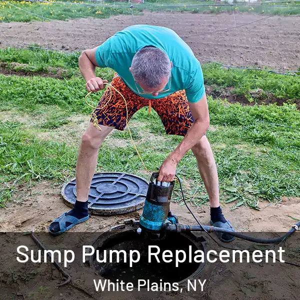  Sump Pump Replacement White Plains, NY