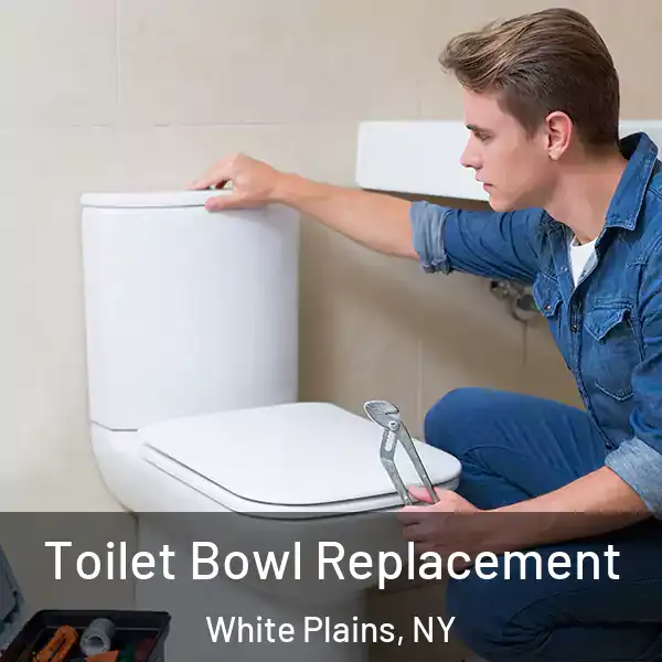  Toilet Bowl Replacement White Plains, NY