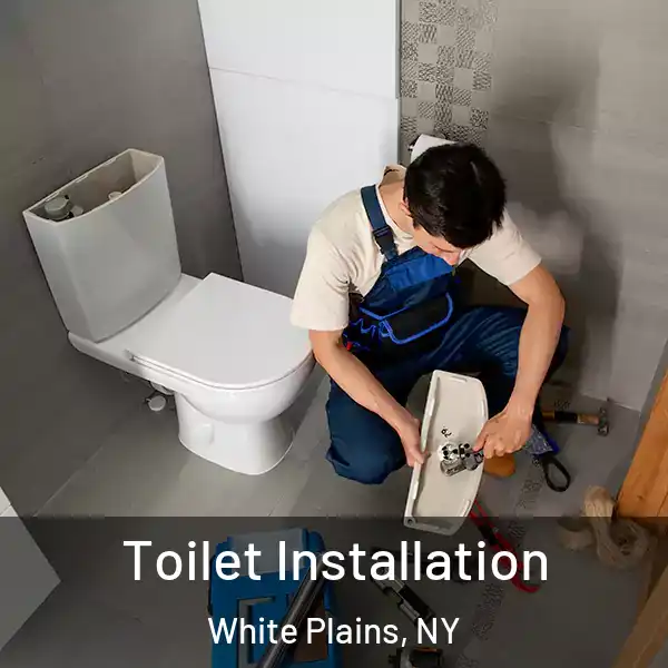  Toilet Installation White Plains, NY