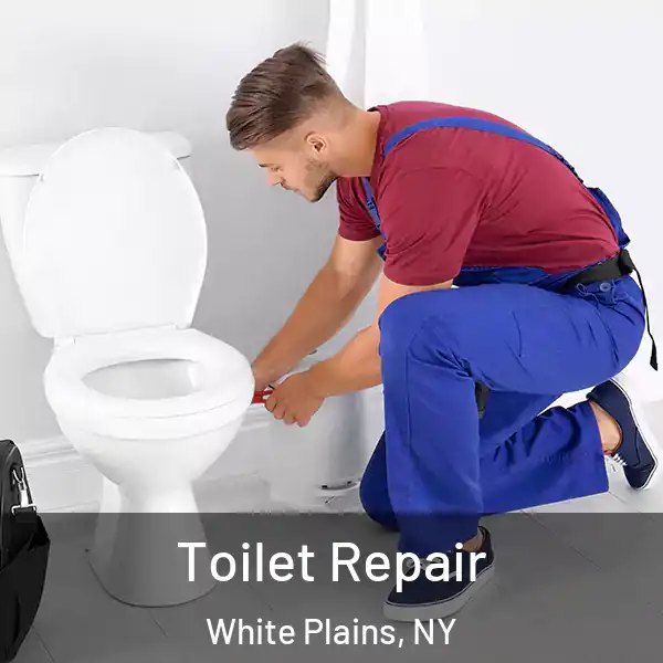  Toilet Repair White Plains, NY