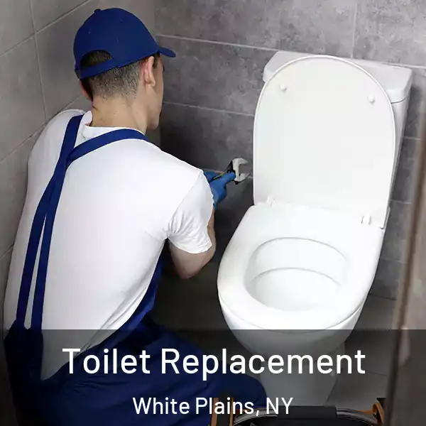  Toilet Replacement White Plains, NY