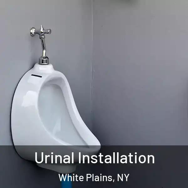  Urinal Installation White Plains, NY