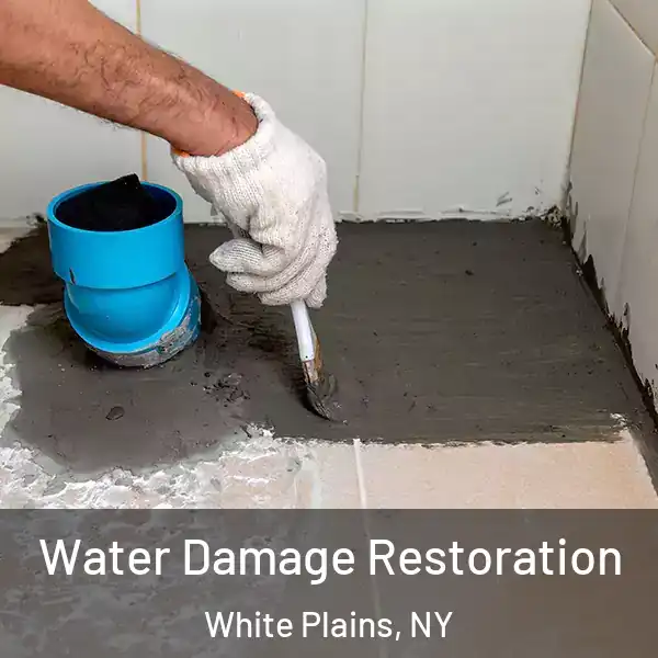  Water Damage Restoration White Plains, NY