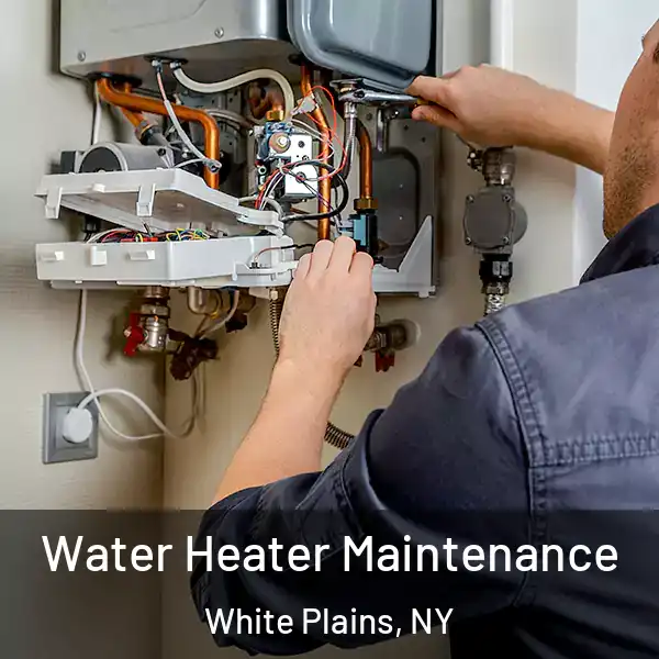  Water Heater Maintenance White Plains, NY