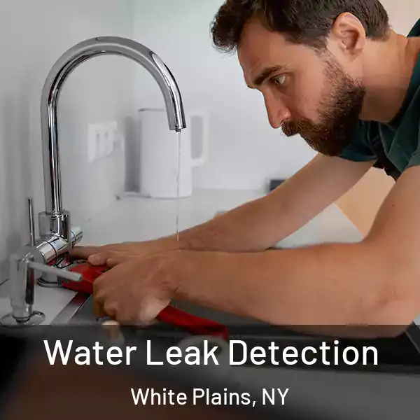  Water Leak Detection White Plains, NY