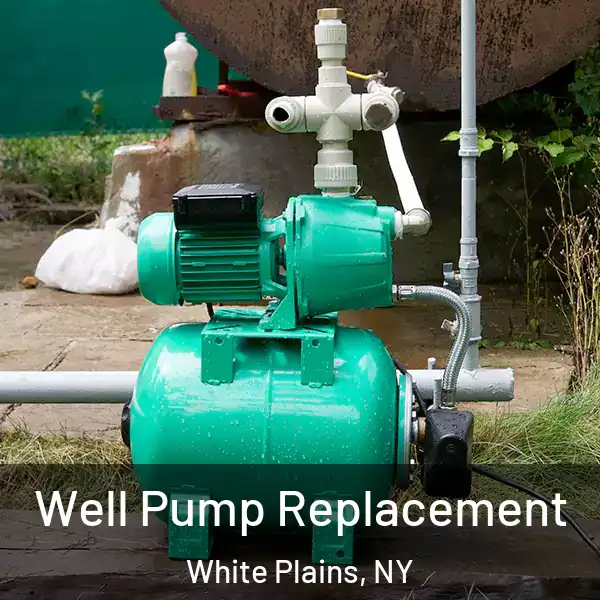  Well Pump Replacement White Plains, NY